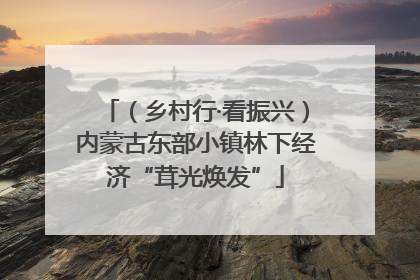 （乡村行·看振兴）内蒙古东部小镇林下经济“茸光焕发”
