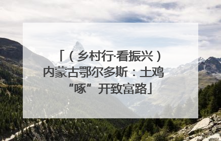 （乡村行·看振兴）内蒙古鄂尔多斯：土鸡“啄”开致富路