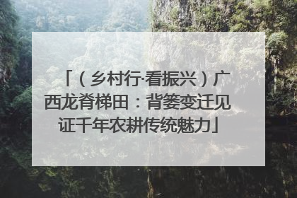 （乡村行·看振兴）广西龙脊梯田：背篓变迁见证千年农耕传统魅力