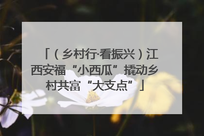 （乡村行·看振兴）江西安福“小西瓜”撬动乡村共富“大支点”