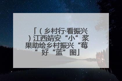 （乡村行·看振兴）江西靖安“小”浆果助绘乡村振兴“莓”好“蓝”图