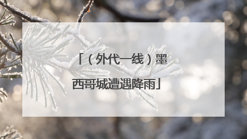 （外代一线）墨西哥城遭遇降雨