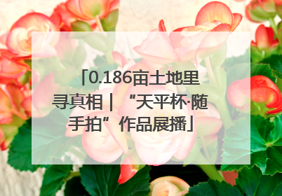 0.186亩土地里寻真相｜“天平杯·随手拍”作品展播