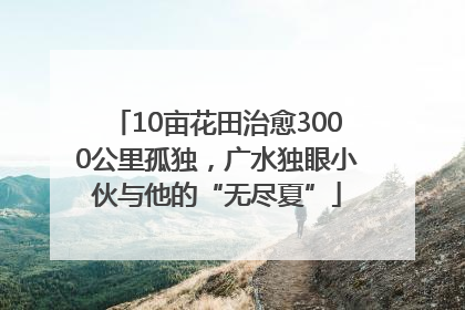 10亩花田治愈3000公里孤独，广水独眼小伙与他的“无尽夏”