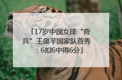 17岁中国女排“奇兵”王奥芊国家队首秀：6扣6中得6分