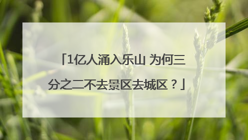 1亿人涌入乐山 为何三分之二不去景区去城区？