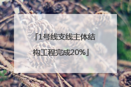 1号线支线主体结构工程完成20%
