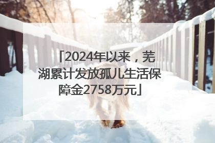 2024年以来，芜湖累计发放孤儿生活保障金2758万元