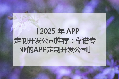 2025 年 APP 定制开发公司推荐：靠谱专业的APP定制开发公司