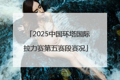 2025中国环塔国际拉力赛第五赛段赛况