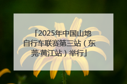 2025年中国山地自行车联赛第三站（东莞·黄江站）举行