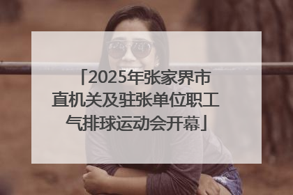 2025年张家界市直机关及驻张单位职工气排球运动会开幕