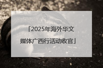 2025年海外华文媒体广西行活动收官