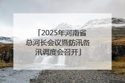 2025年河南省总河长会议暨防汛备汛调度会召开