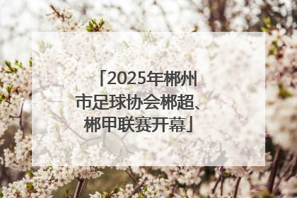 2025年郴州市足球协会郴超、郴甲联赛开幕