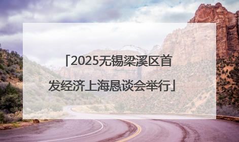 2025无锡梁溪区首发经济上海恳谈会举行