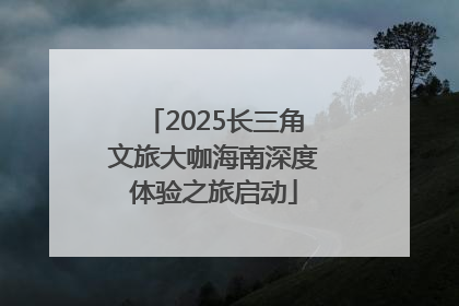 2025长三角文旅大咖海南深度体验之旅启动