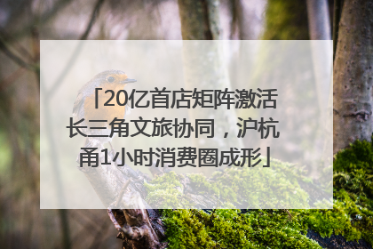 20亿首店矩阵激活长三角文旅协同，沪杭甬1小时消费圈成形