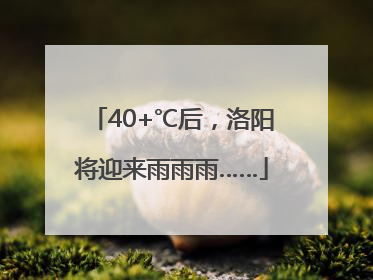 40+℃后，洛阳将迎来雨雨雨……