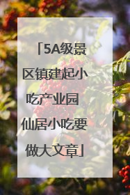 5A级景区镇建起小吃产业园 仙居小吃要做大文章