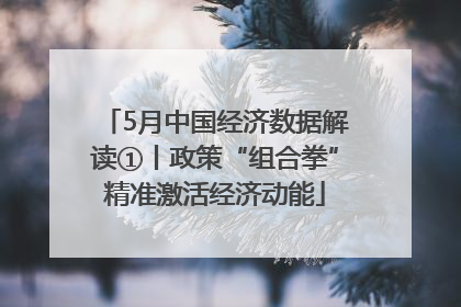 5月中国经济数据解读①丨政策“组合拳”精准激活经济动能