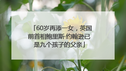 60岁再添一女,英国前首相鲍里斯·约翰逊已是九个孩子的父亲
