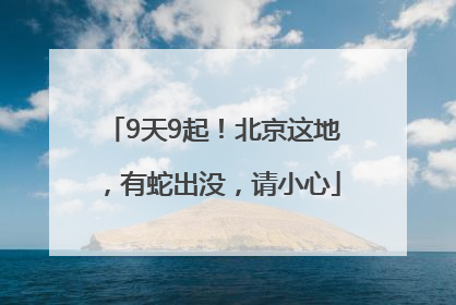 9天9起！北京这地，有蛇出没，请小心