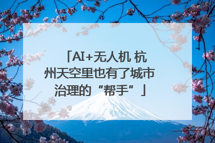 AI+无人机 杭州天空里也有了城市治理的“帮手”