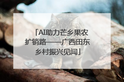 AI助力芒乡果农扩销路——广西田东乡村振兴见闻