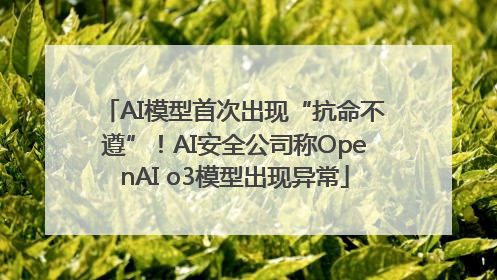 AI模型首次出现“抗命不遵”！AI安全公司称OpenAI o3模型出现异常