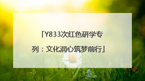 Y833次红色研学专列：文化润心筑梦前行