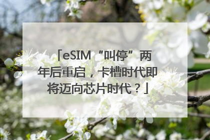 eSIM“叫停”两年后重启，卡槽时代即将迈向芯片时代？